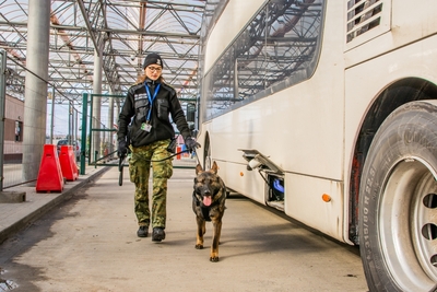 Funkcjonariuszka Straży Granicznej - przewodniczka psa służbowego SG 