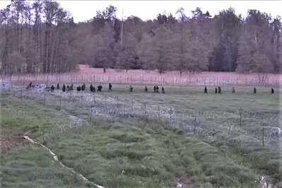 Migranci usiłują przedrzeć się do Polski 
