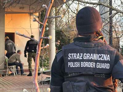 Straż Graniczna rozbiła zorganizowaną grupę przestępczą 