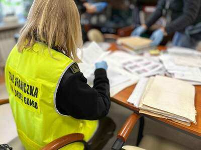 Straż Graniczna rozbiła zorganizowaną grupę przestępczą 
