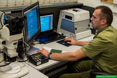 Funkcjonariusz Straży Granicznej podczas wykonywania czynności służbowych Funkcjonariusz Straży Granicznej podczas wykonywania czynności służbowych