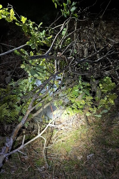 Balony meteorologiczne z nielegalną przesyłką. Balony meteorologiczne z nielegalną przesyłką.