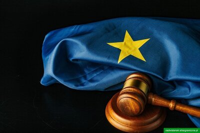 Lotnisko Chopina: Straż Graniczna zatrzymała obywatelkę Chin poszukiwaną przez Interpol i ENA Lotnisko Chopina: Straż Graniczna zatrzymała obywatelkę Chin poszukiwaną przez Interpol i ENA