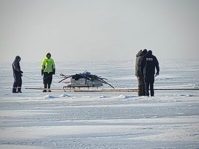 Podeszli blisko linii granicy, zareagowała Straż Graniczna Podeszli blisko linii granicy, zareagowała Straż Graniczna
