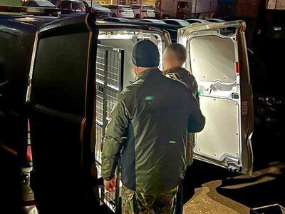 Funkcjonariusz Straży Granicznej podczas wykonywania czynności służbowych Funkcjonariusz Straży Granicznej podczas wykonywania czynności służbowych