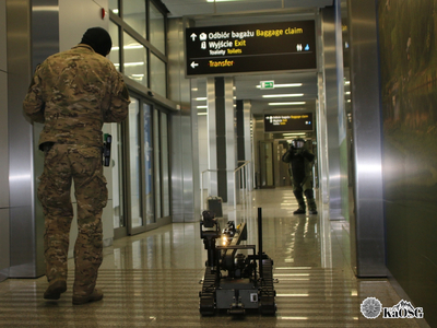 Funkcjonariusze Straży Granicznej podczas wykonywania czynności służbowych na lotnisku Funkcjonariusze Straży Granicznej podczas wykonywania czynności służbowych na lotnisku