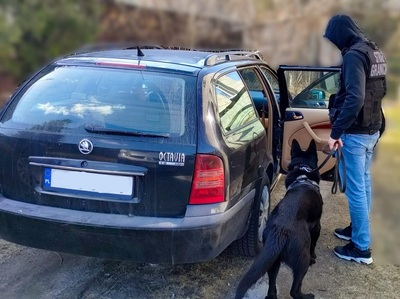 Funkcjonariusz Straży Granicznej podczas wykonywania czynności służbowych Funkcjonariusz Straży Granicznej podczas wykonywania czynności służbowych