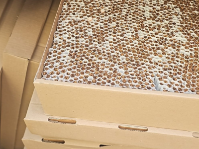 Usłyszeli zarzuty karne skarbowe Usłyszeli zarzuty karne skarbowe