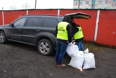 worki z krajanką tytoniową 