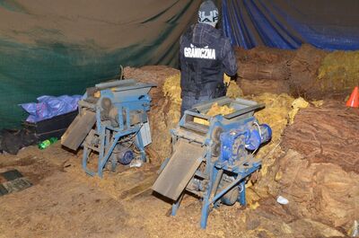 nielegalna linia produkcyjna krajanki tytoniowej