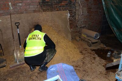 nielegalna linia produkcyjna krajanki tytoniowej