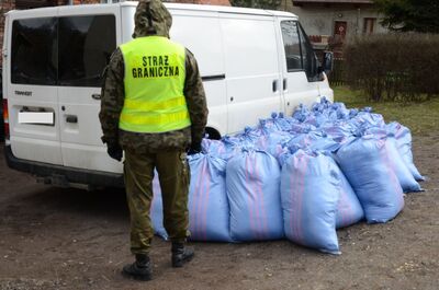 nielegalna linia produkcyjna krajanki tytoniowej
