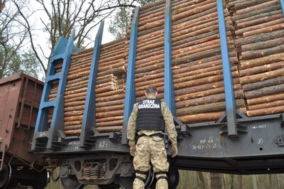 przemyt papierosów w pociągu towarowym