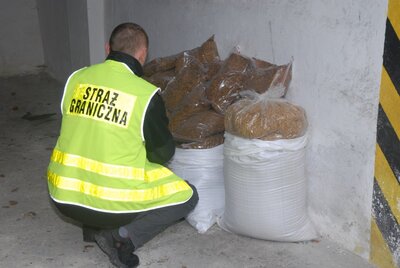 zabezpieczona krajanka tytoniowa