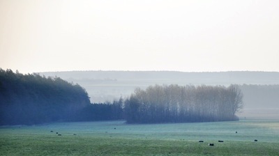 pudła z przemytem rozrzucone na polu