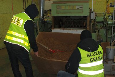 nielegalna linia do produkcji tytoniu