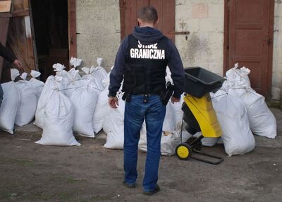 zabezpieczony tytoń