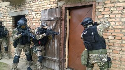 wspólne szkolenia funkcjonariuszy SG i innych służb 