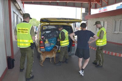 Tymczasowe przywrócenie kontroli – ćwiczenia